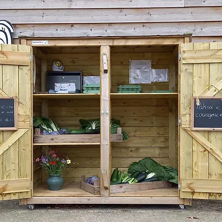 Tiny Located Next To Its Own Food Forest * Oirschot