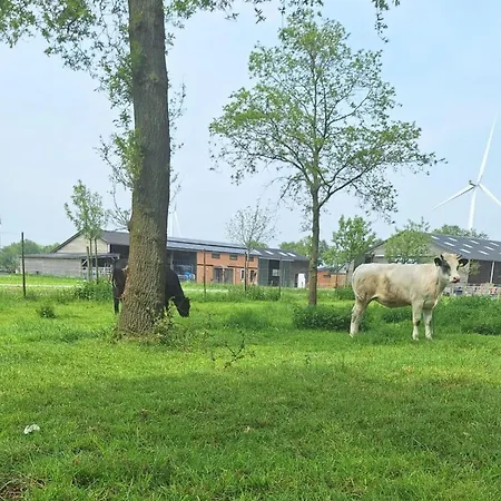 Tiny Located Next To Its Own Food Forest Дом отдыха *
