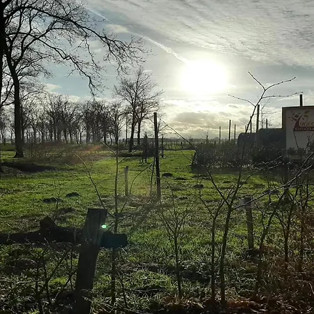 Tiny Located Next To Its Own Food Forest * Оирсхот