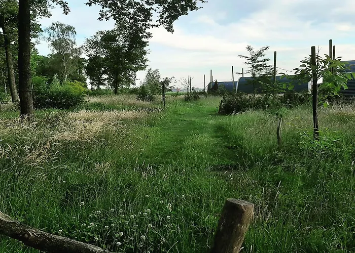 Tiny Located Next To Its Own Food Forest Casa vacanze *