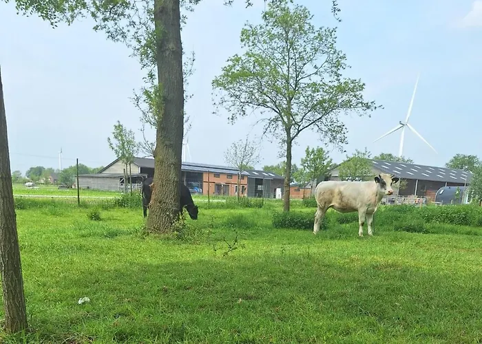 Tiny Located Next To Its Own Food Forest Vakantiehuis *