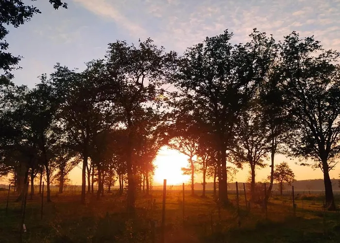 Tiny Located Next To Its Own Food Forest *