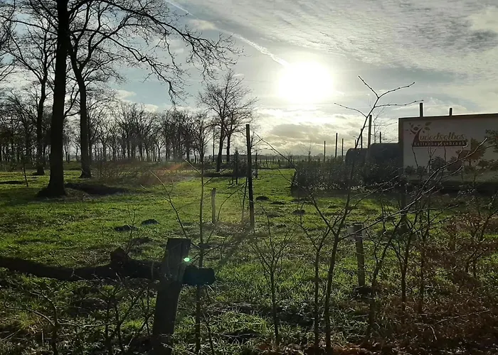 Tiny Located Next To Its Own Food Forest * Oirschot