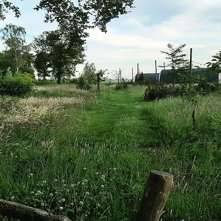 Tiny Located Next To Its Own Food Forest Prázdninový dům *