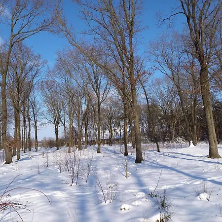 Prázdninový dům Tiny Located Next To Its Own Food Forest