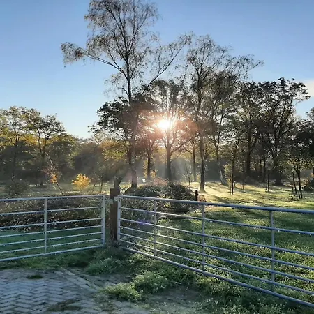 Prázdninový dům Tiny Located Next To Its Own Food Forest